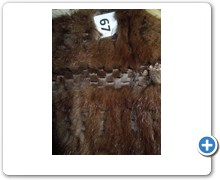 collection 13 Traforazione scolpita 67